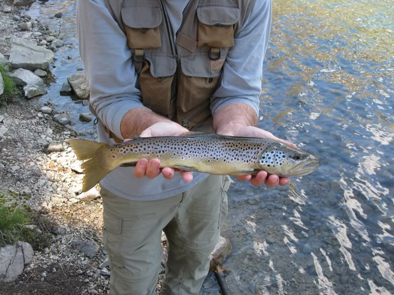 Awesome fishing in Mammoth area 7/9/11 7/15/11